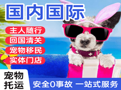 龙洞堡机场快运国际宠物托运 【国
